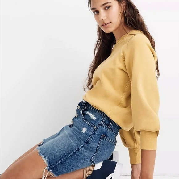 NWOT Madewell Rigid Denim A-Line Mini Skirt in Hughes Wash Button-Front Edition - Picture 2 of 13